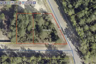 Lot 41 E Tiger Lily Ln, Defuniak Springs, FL 32433 - Photo 1