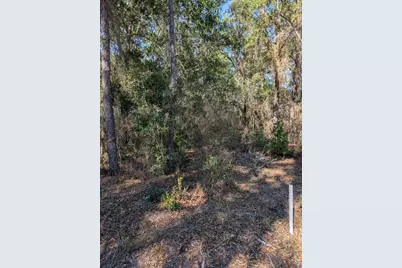 0 Morrison Avenue, Santa Rosa Beach, FL 32459 - Photo 6