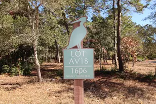 1606 Sharks Tooth Trail, Panama City Beach, FL 32413 - Photo 1