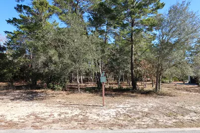 1606 Shark's Tooth Trail, Panama City Beach, FL 32413 - Photo 2