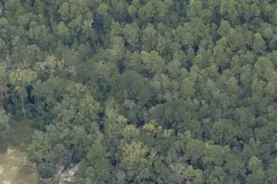 1102 St Hwy 20 W, Freeport, FL 32439 - Photo 1