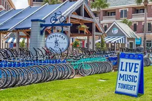 115 Woody Wagon Way, Inlet Beach, FL 32461 - Photo 72