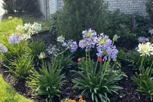 147 Fairway Crossing, Freeport, FL 32439 - Photo 68