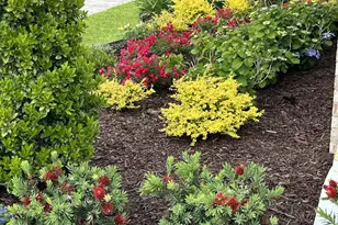 147 Fairway Crossing, Freeport, FL 32439 - Photo 74