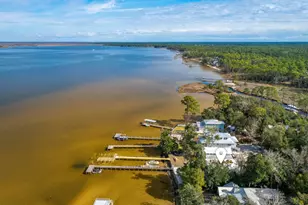 103 Native Tree Ln, Santa Rosa Beach, FL 32459 - Photo 50