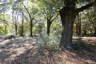 7722 Clary Rd, Laurel Hill, FL 32567 - Photo 36