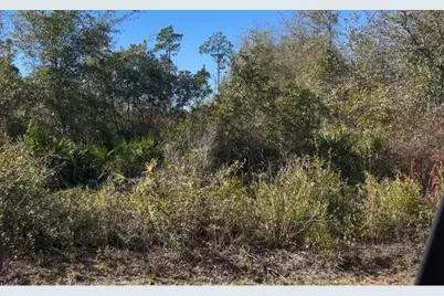 0 N Patrick Street N, Port Saint Joe, FL 32456 - Photo 2