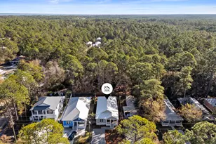 1110 N County Hwy 393 N, Santa Rosa Beach, FL 32459 - Photo 4