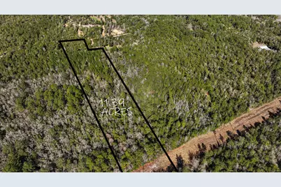 Tbd Moccasin Forks Road, Ponce de Leon, FL 32455 - Photo 1