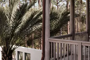 117 Featherbed Alley, Alys Beach, FL 32461 - Photo 20