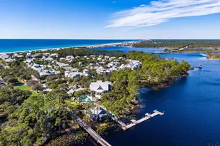 313 E Royal Fern Way E, Santa Rosa Beach, FL 32459 - Photo 36