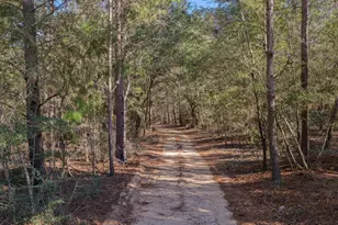 478 High Lonesome Rd, Defuniak Springs, FL 32435 - Photo 4