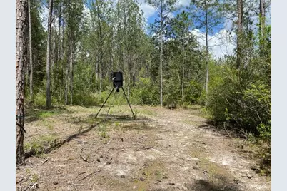 Tbd Southern Comfort Way, Laurel Hill, FL 32567 - Photo 6