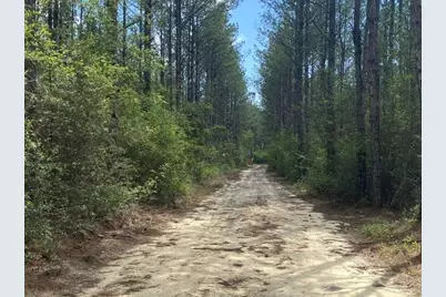 Tbd Southern Comfort Way, Laurel Hill, FL 32567 - Photo 4
