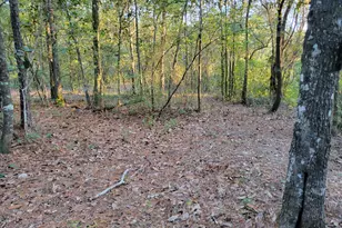 000 Hardwood Ln, Ponce de Leon, FL 32455 - Photo 1