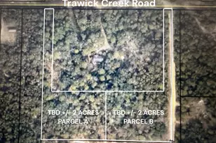 Tbd Parcel A+/- 2 Ac Trawick Creek Rd, Holt, FL 32564 - Photo 1