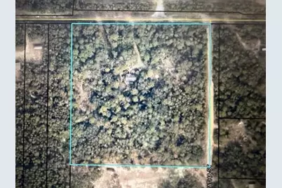 Tbd Parcel B+/- 2 Ac Trawick Creek Road, Holt, FL 32564 - Photo 2