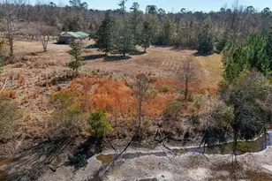 23203 N US Hwy 331 N, Laurel Hill, FL 32567 - Photo 38