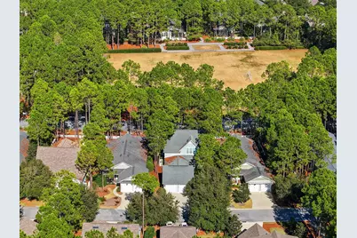 302 Jack Knife Drive, Inlet Beach, FL 32461 - Photo 46