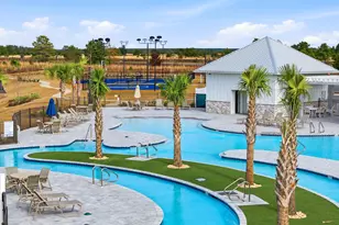 64 Grass Owl Loop, Freeport, FL 32439 - Photo 38