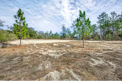 3842 Bear Head Road, Crestview, FL 32539 - Photo 6