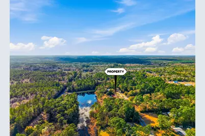 149 Pine Hill Drive, Defuniak Springs, FL 32435 - Photo 32