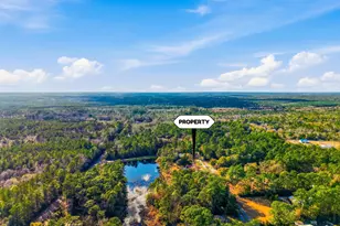 149 Pine Hill Dr, Defuniak Springs, FL 32435 - Photo 32