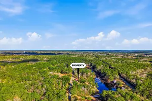 149 Pine Hill Dr, Defuniak Springs, FL 32435 - Photo 34