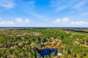 149 Pine Hill Dr, Defuniak Springs, FL 32435 - Photo 36