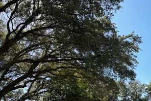 199 Country Club Rd, Shalimar, FL 32579 - Photo 30