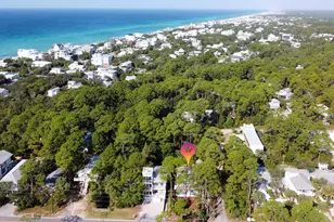 141 San Juan Ave, Santa Rosa Beach, FL 32459 - Photo 46