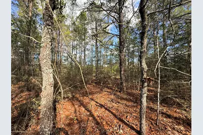 Lot 2 E Violet East Lane E, Defuniak Springs, FL 32433 - Photo 6