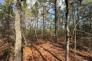 Lot 2 Blk 8 On E Violet Ln, Defuniak Springs, FL 32433 - Photo 6