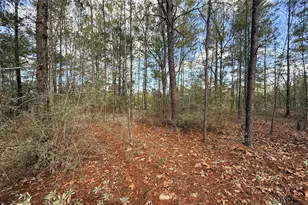 Lot 2 Blk 8 On E Violet Ln, Defuniak Springs, FL 32433 - Photo 4