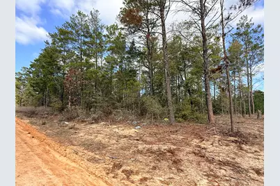Lot 2 E Violet East Lane E, Defuniak Springs, FL 32433 - Photo 2