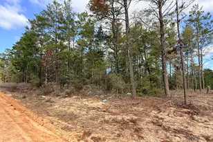 Lot 2 Blk 8 On E Violet Ln, Defuniak Springs, FL 32433 - Photo 2