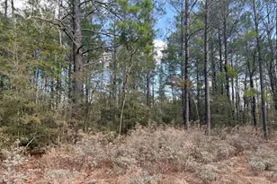 Lot 2 Blk 8 On E Violet Ln, Defuniak Springs, FL 32433 - Photo 8