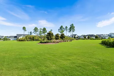 289 Catface Drive, Inlet Beach, FL 32461 - Photo 8