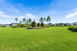 289 Catface Dr, Inlet Beach, FL 32461 - Photo 8