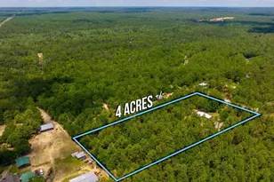 4482 Rainbird Rise Rd, Crestview, FL 32539 - Photo 4