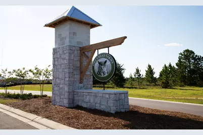 151 W Farm Owl Drive W, Freeport, FL 32439 - Photo 36