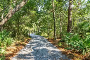 664 Woodland Bayou Dr, Santa Rosa Beach, FL 32459 - Photo 10