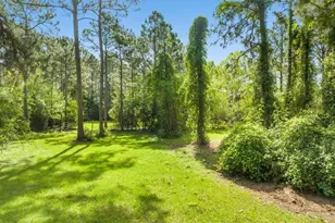 Lot 19 Calm Gulf Dr, Santa Rosa Beach, FL 32459 - Photo 1