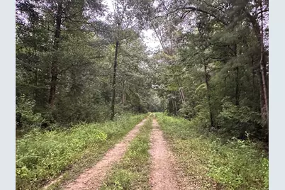 [Address not provided], Wewahitchka, FL 32465 - Photo 4