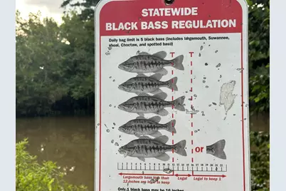 [Address not provided], Wewahitchka, FL 32465 - Photo 6