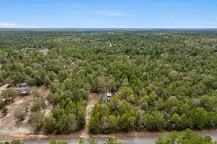 610 Spring Hill Rd, Defuniak Springs, FL 32433 - Photo 4