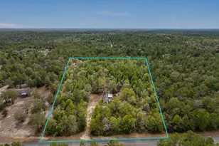 610 Spring Hill Rd, Defuniak Springs, FL 32433 - Photo 1