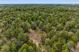 610 Spring Hill Rd, Defuniak Springs, FL 32433 - Photo 16