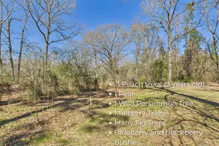 9866 Red Rock Rd, Milton, FL 32570 - Photo 6