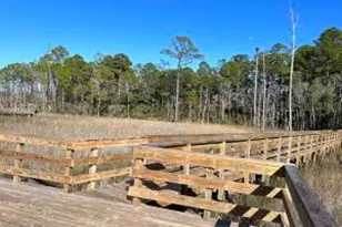103 Bayou Manor Rd, Santa Rosa Beach, FL 32459 - Photo 6